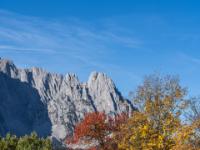 Wilder Kaiser Spitzen über farbigen Herbstbäumen